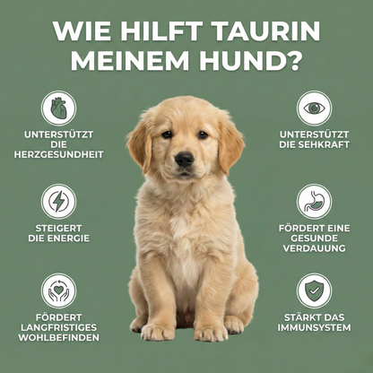 VitalTaurin+ – Die Nr. 1 Empfehlung von Tierärzten