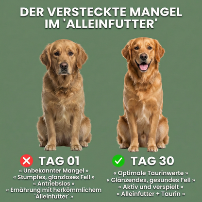 VitalTaurin+ – Die Nr. 1 Empfehlung von Tierärzten