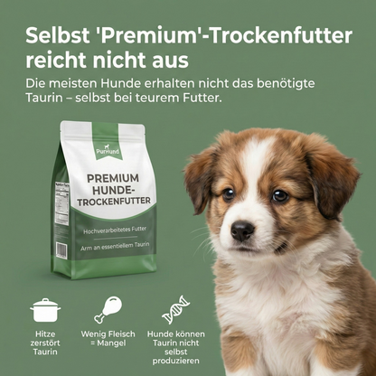 VitalTaurin+ – Die Nr. 1 Empfehlung von Tierärzten