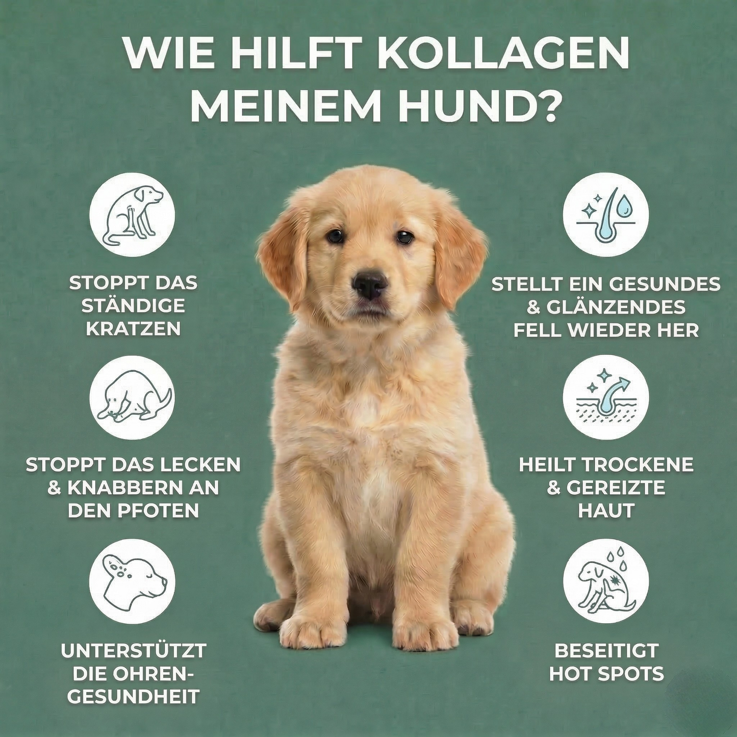 Premium-Kollagen gegen Juckreiz