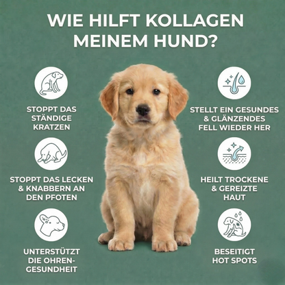 Premium-Kollagen gegen Juckreiz