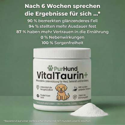 VitalTaurin+ – Die Nr. 1 Empfehlung von Tierärzten
