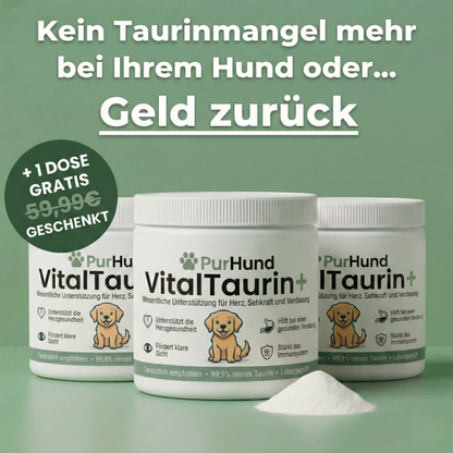 VitalTaurin+ – Die Nr. 1 Empfehlung von Tierärzten