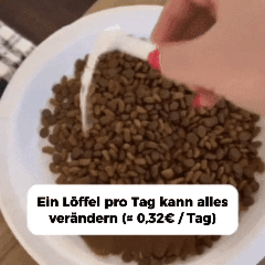 VitalTaurin+ – Die Nr. 1 Empfehlung von Tierärzten