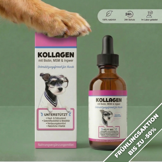Premium-Kollagen gegen Juckreiz