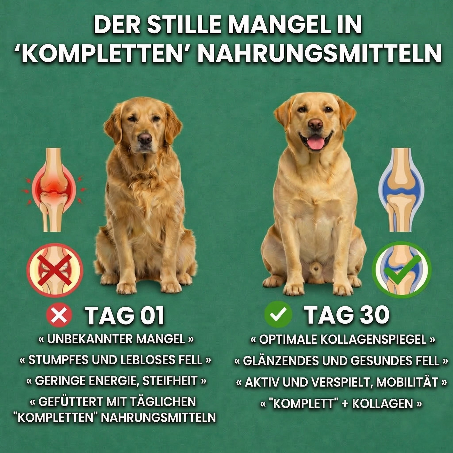 Premium-Kollagen gegen Juckreiz