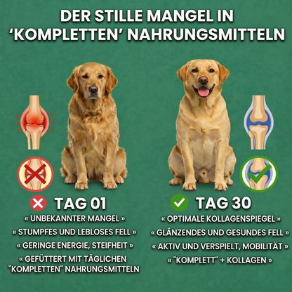 Premium-Kollagen gegen Juckreiz