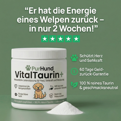 VitalTaurin+ – Die Nr. 1 Empfehlung von Tierärzten